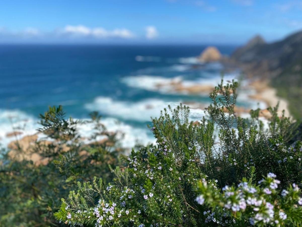 Sea-Esta Leilighet Plettenberg Bay Eksteriør bilde